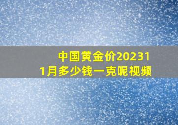 中国黄金价202311月多少钱一克呢视频