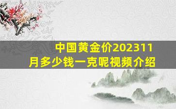 中国黄金价202311月多少钱一克呢视频介绍