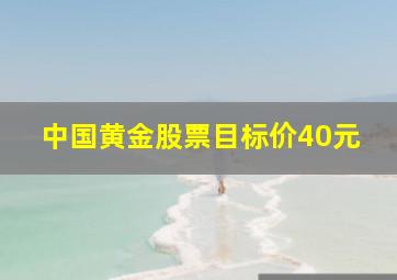 中国黄金股票目标价40元