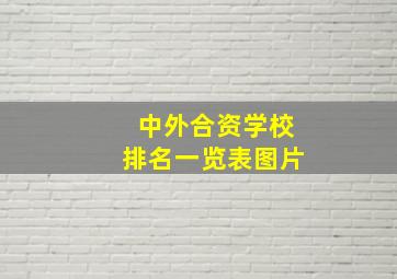 中外合资学校排名一览表图片