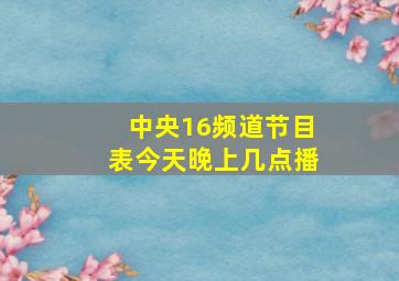 中央16频道节目表今天晚上几点播