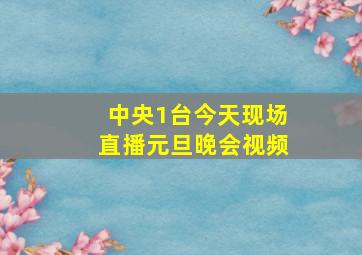 中央1台今天现场直播元旦晚会视频