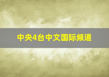 中央4台中文国际频道