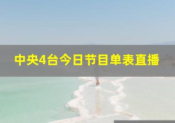 中央4台今日节目单表直播