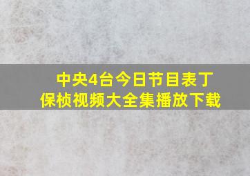 中央4台今日节目表丁保桢视频大全集播放下载