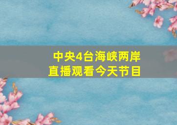 中央4台海峡两岸直播观看今天节目