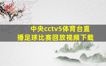 中央cctv5体育台直播足球比赛回放视频下载