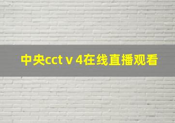 中央cctⅴ4在线直播观看