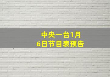 中央一台1月6日节目表预告