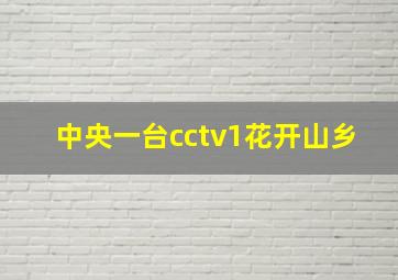 中央一台cctv1花开山乡