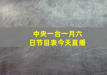 中央一台一月六日节目表今天直播