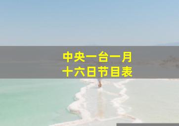 中央一台一月十六日节目表