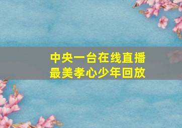 中央一台在线直播最美孝心少年回放