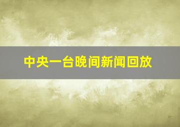 中央一台晚间新闻回放