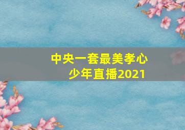 中央一套最美孝心少年直播2021