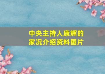 中央主持人康辉的家况介绍资料图片