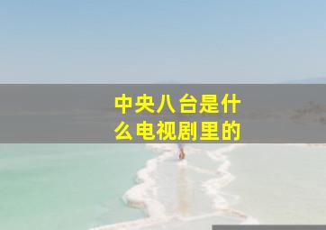 中央八台是什么电视剧里的