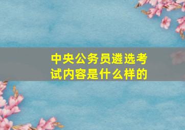 中央公务员遴选考试内容是什么样的