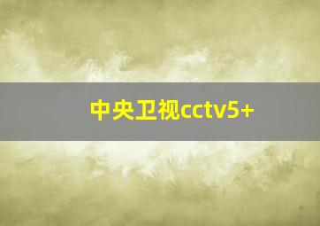 中央卫视cctv5+