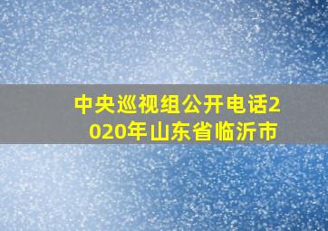 中央巡视组公开电话2020年山东省临沂市