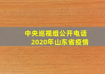 中央巡视组公开电话2020年山东省疫情