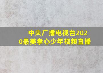 中央广播电视台2020最美孝心少年视频直播