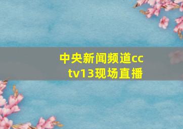 中央新闻频道cctv13现场直播