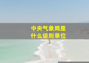 中央气象局是什么级别单位