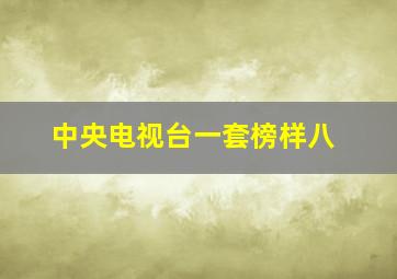 中央电视台一套榜样八