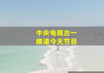 中央电视台一频道今天节目