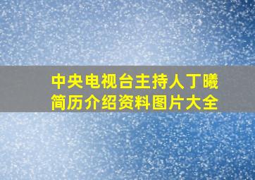 中央电视台主持人丁曦简历介绍资料图片大全