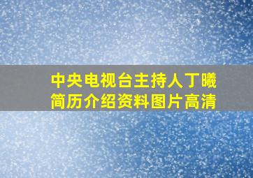 中央电视台主持人丁曦简历介绍资料图片高清