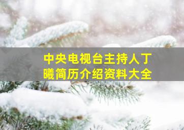 中央电视台主持人丁曦简历介绍资料大全