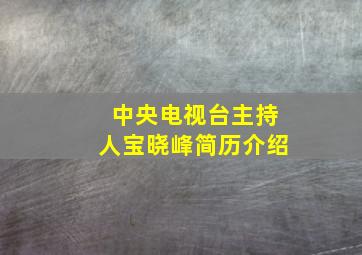 中央电视台主持人宝晓峰简历介绍