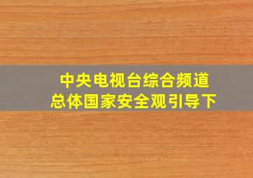 中央电视台综合频道总体国家安全观引导下