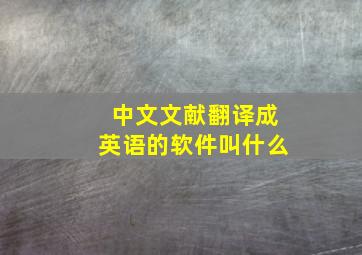 中文文献翻译成英语的软件叫什么