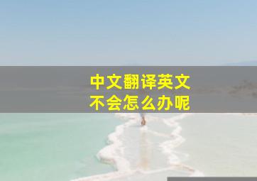 中文翻译英文不会怎么办呢