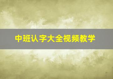 中班认字大全视频教学