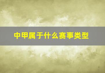 中甲属于什么赛事类型