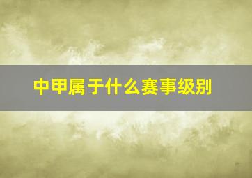 中甲属于什么赛事级别