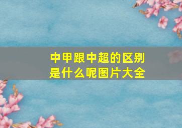 中甲跟中超的区别是什么呢图片大全