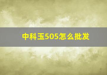 中科玉505怎么批发