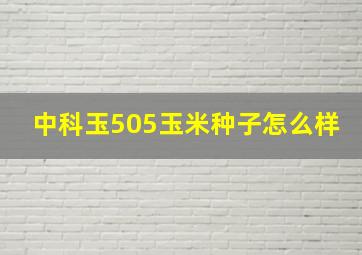 中科玉505玉米种子怎么样