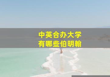 中英合办大学有哪些伯明翰