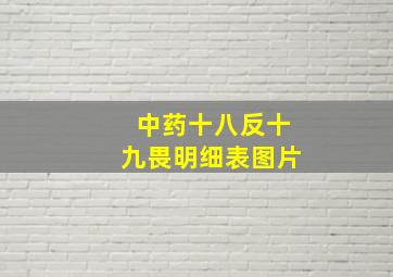 中药十八反十九畏明细表图片