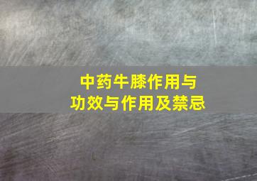 中药牛膝作用与功效与作用及禁忌