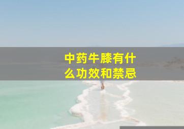 中药牛膝有什么功效和禁忌