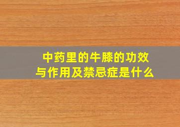 中药里的牛膝的功效与作用及禁忌症是什么