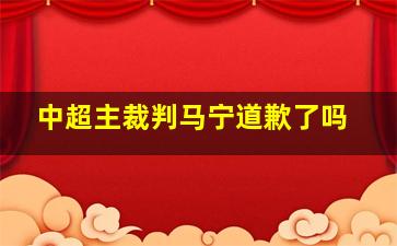 中超主裁判马宁道歉了吗