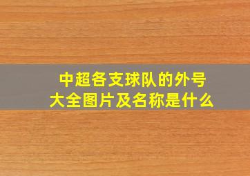 中超各支球队的外号大全图片及名称是什么